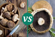 Portabella mushroom vs shiitake mushroom