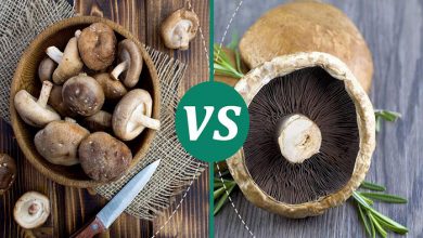 Portabella mushroom vs shiitake mushroom