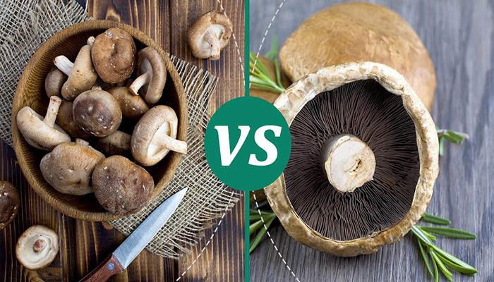 Portabella mushroom vs shiitake mushroom