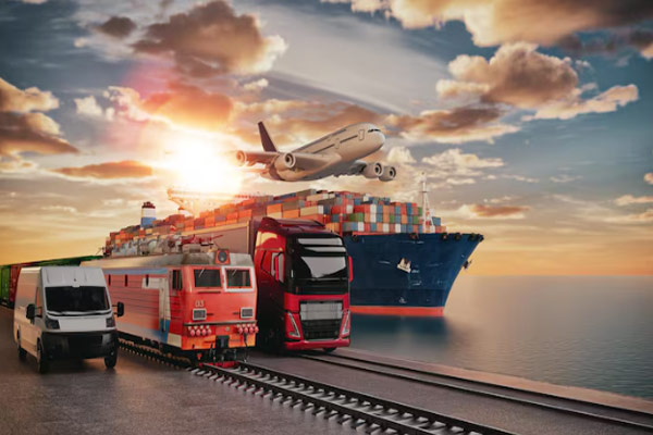 Transport Solutions That Support Everyday Life